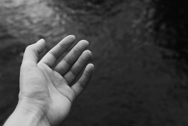 Hand 4460054 640